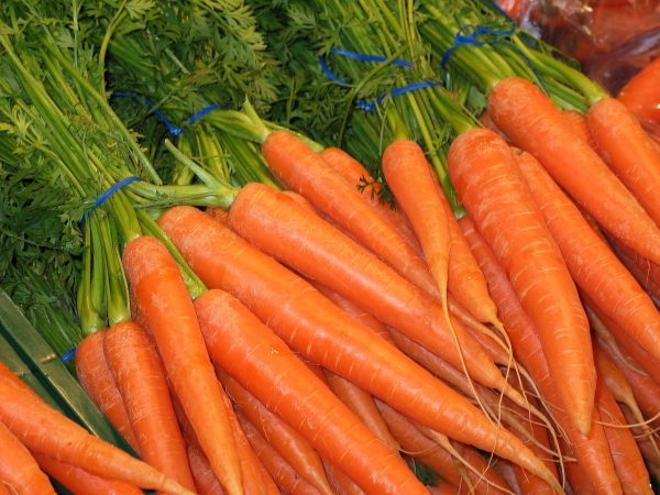 carrots, bunch of carrots, food-1160683.jpg