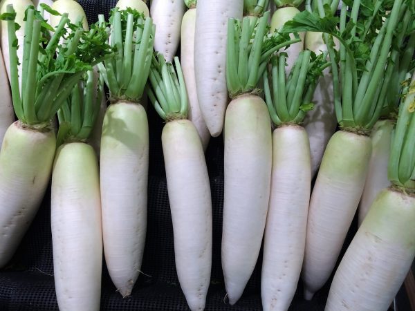 japanese white radish, vegetable, seiyu-1586313.jpg