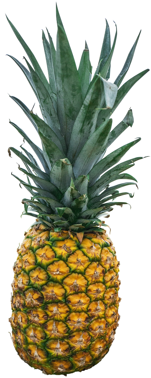 pineapple, fruit, exotic-1916996.jpg