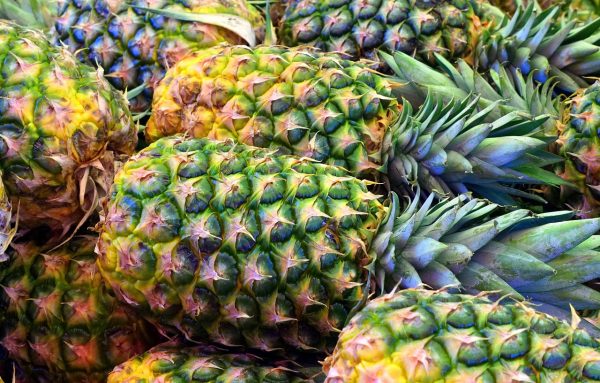 pineapple, fruit, tropical-3413953.jpg