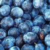 plum, nature, fruit, blue, purple, sweet, plant, berries, blue plant, blue fruits, blue plants, plum, plum, fruit, fruit, fruit, fruit, fruit, berries-1542428.jpg