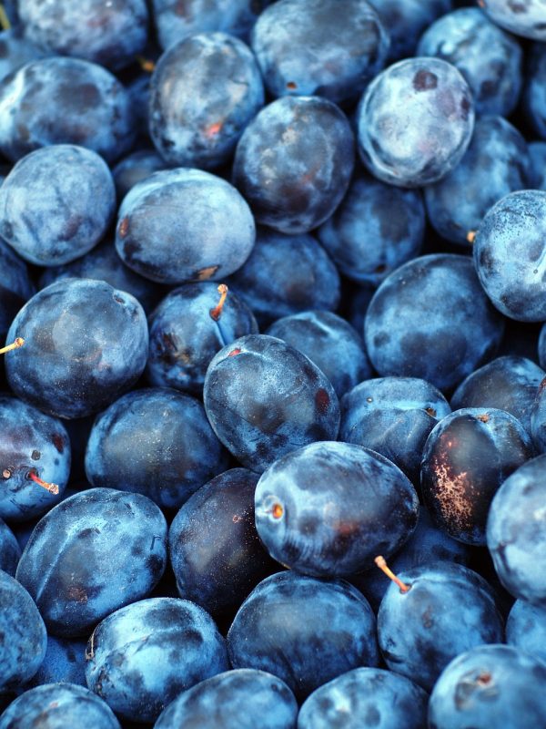 plum, nature, fruit, blue, purple, sweet, plant, berries, blue plant, blue fruits, blue plants, plum, plum, fruit, fruit, fruit, fruit, fruit, berries-1542428.jpg